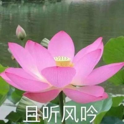 深圳西乡：探索“家事联调”社区治理新机制